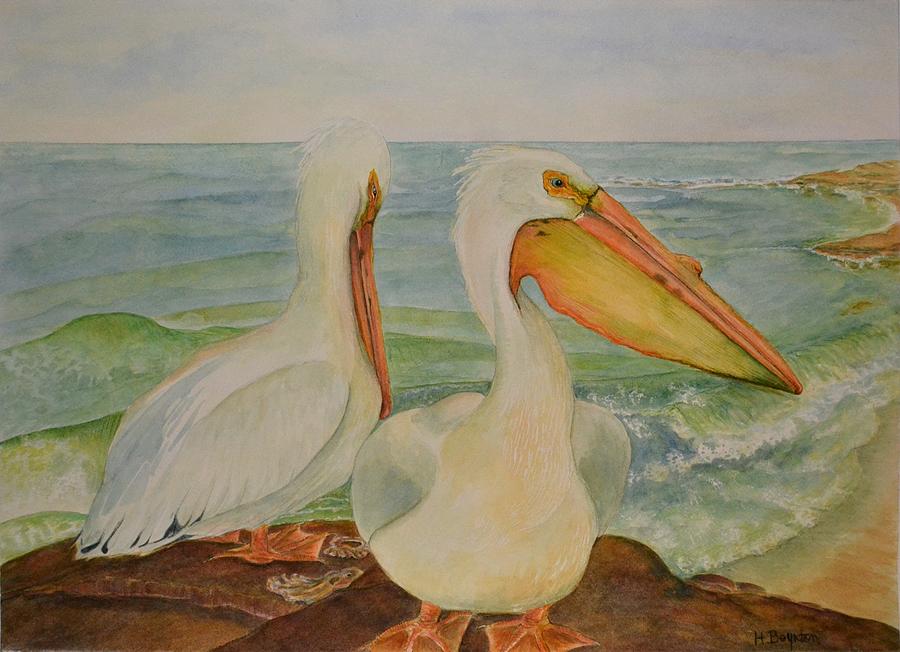 Bird Painting - White Pelicans by Hannah Boynton
