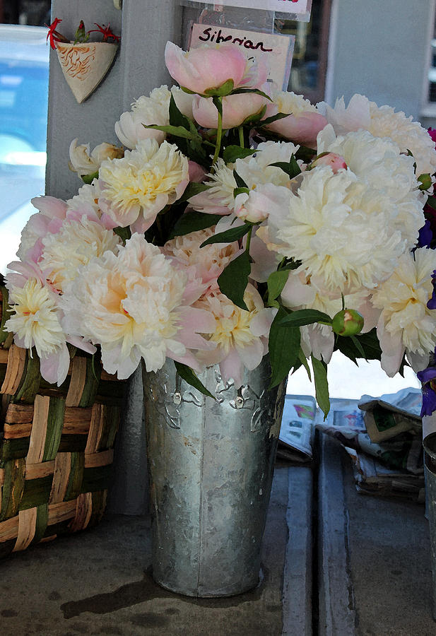 White Peonies For Sale Photograph by Suzanne Gaff