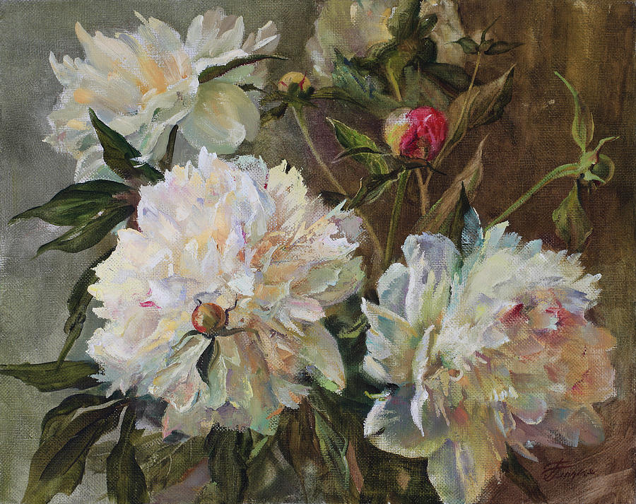 White peonies Painting by Galina Gladkaya - Fine Art America