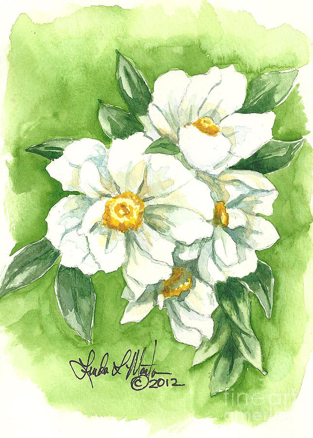 White Peony Painting by Linda L Martin