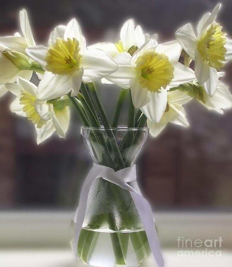 White petalled Daffodils in a Glass Vase Photograph by Joan-Violet Stretch