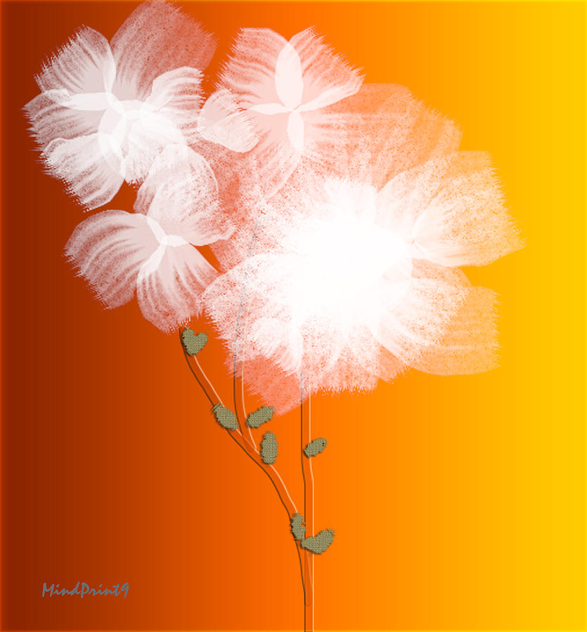 White Petals Digital Art by Asok Mukhopadhyay