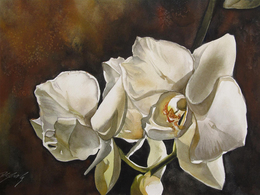 White Phalaenopsis Orchid Painting by Alfred Ng