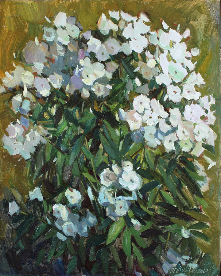 White phloxes Painting by Juliya Zhukova