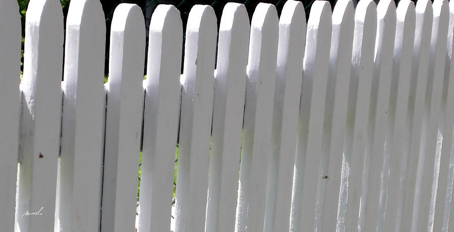 White Picket Fence 3 Photograph