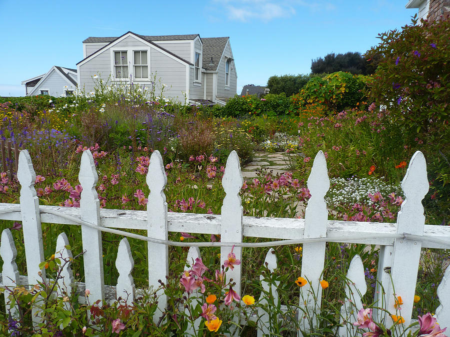 Flower Photograph - White Picket Fence in Mendocino by Kris Hiemstra