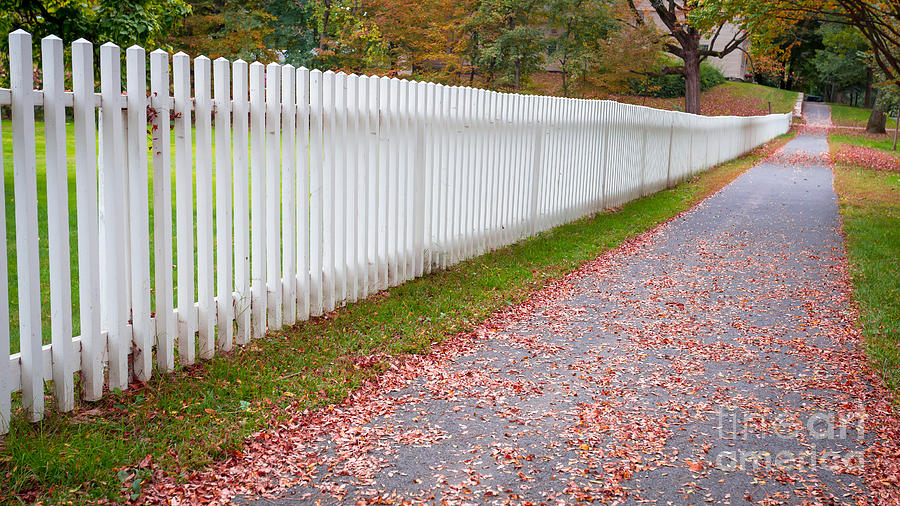 Fall Photograph - White picket fence lined sidewalk by Edward Fielding