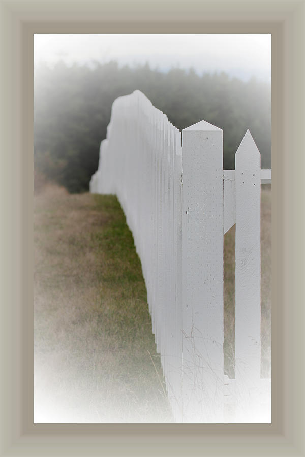 White Picket Fence Photograph by Marie Jamieson