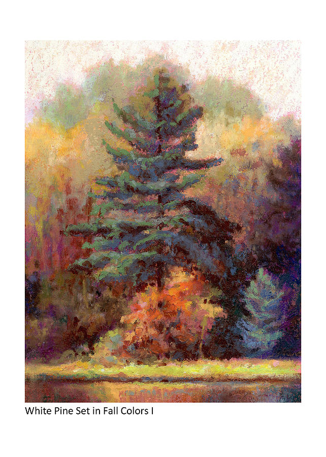 White Pine Set in Fall Colors I Painting by Betsy Derrick