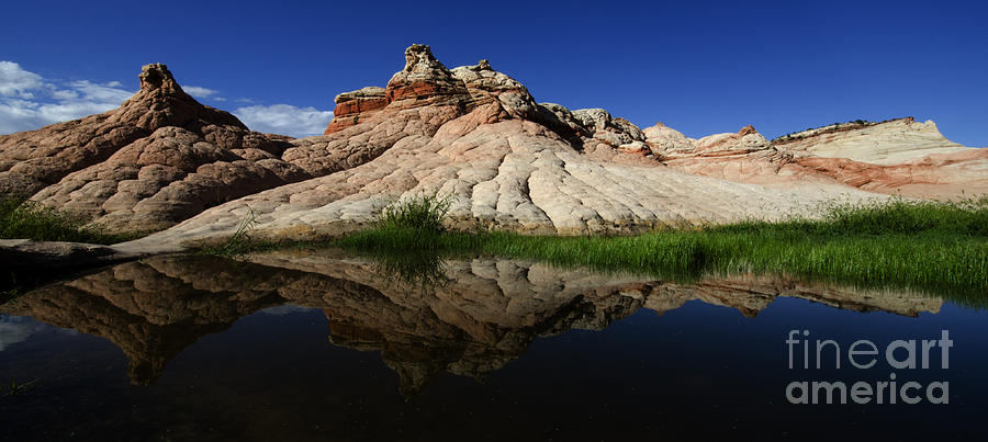 Landscape Photograph - White Pocket Arizona 3 by Bob Christopher