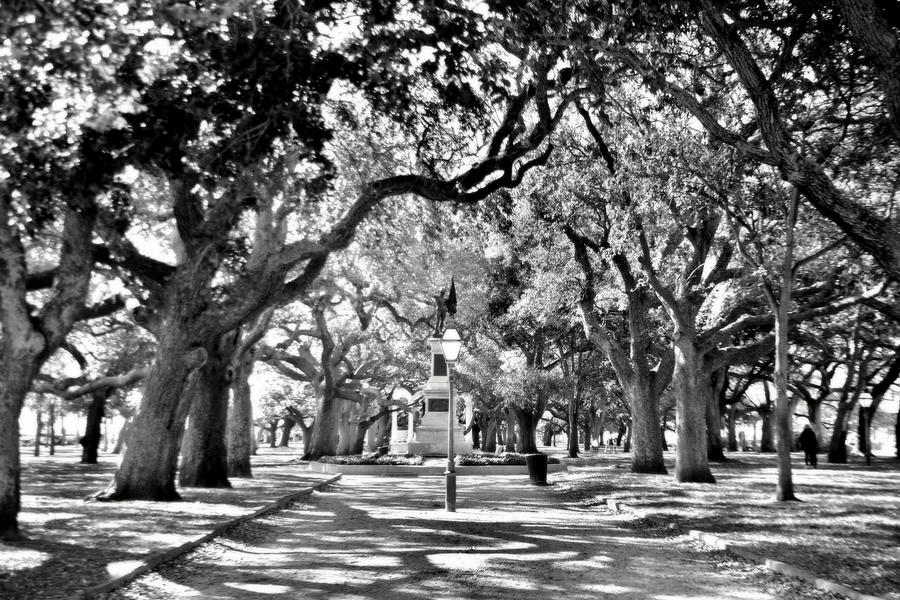 Tree Photograph - White Point Gardens At Battery Park Charleston SC Black and White by Lisa Wooten