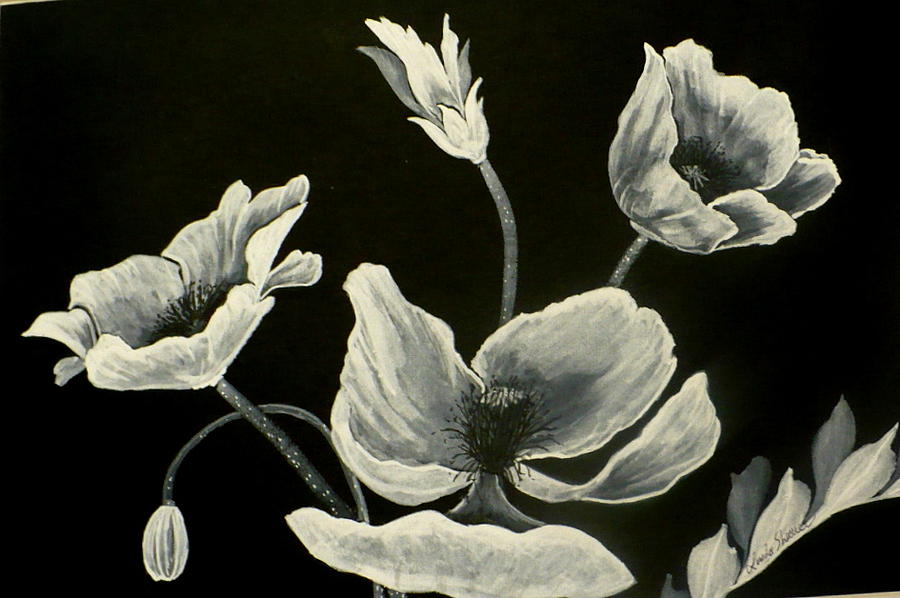 White Poppies on black rice paper Painting by Linda Shearer - Fine Art ...