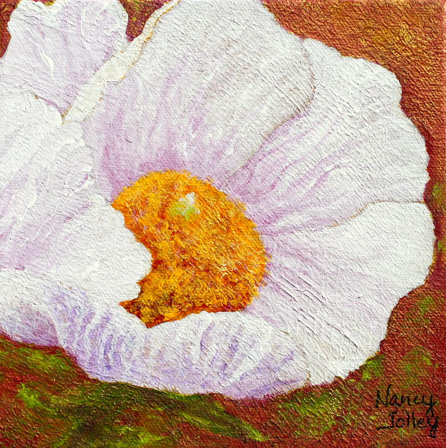 White Poppy Painting by Nancy Jolley