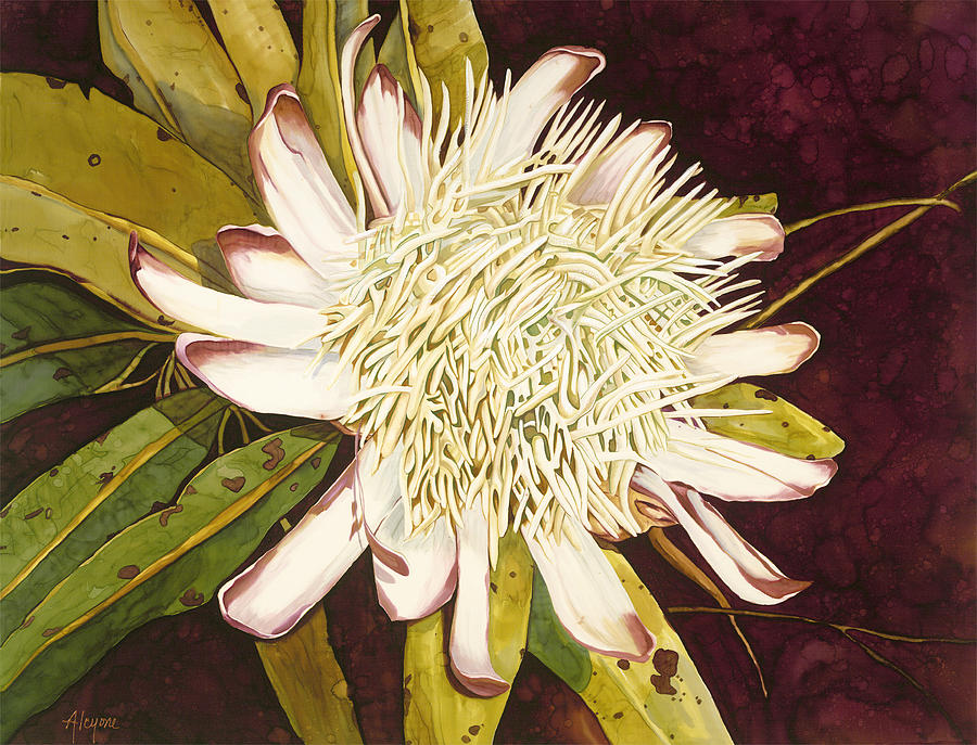 White Protea by Artimis Alcyone White Protea by Artimis Alcyone