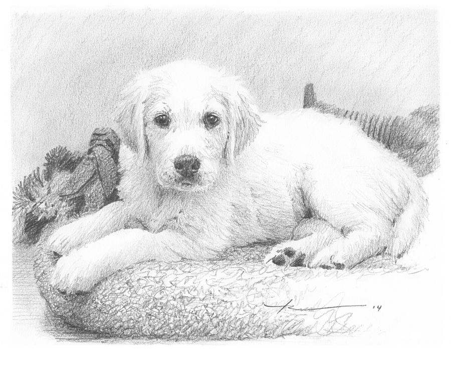 White Puppy Pencil Portrait Drawing by Mike Theuer White Puppy Pencil Portrait Drawing by Mike Theuer