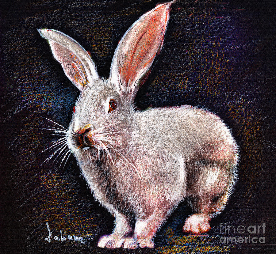 Animal Drawing - White rabbit portrait drawing by Daliana Pacuraru