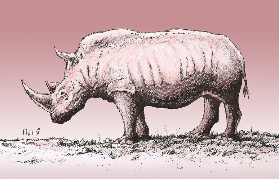 White Rhino Drawing by Anthony Mwangi