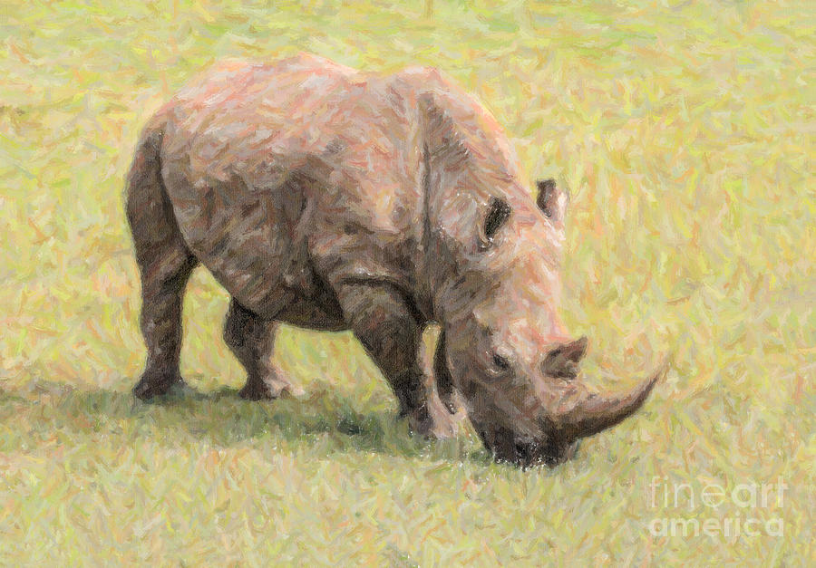 Wildlife Digital Art - White Rhinoceros Ceratotherium simum by Liz Leyden