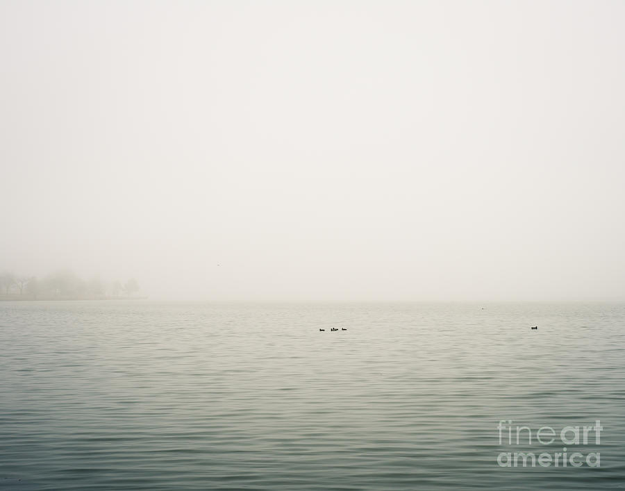 Abstract Photograph - White Rock Lake Fog by Sonja Quintero