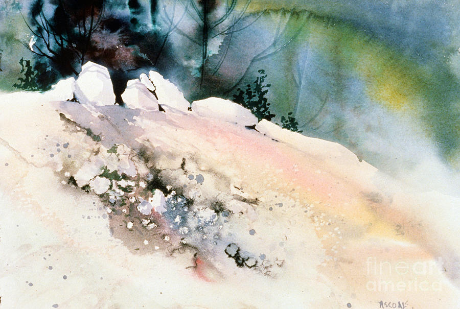 White Rocks Dark Forest Painting by Teresa Ascone