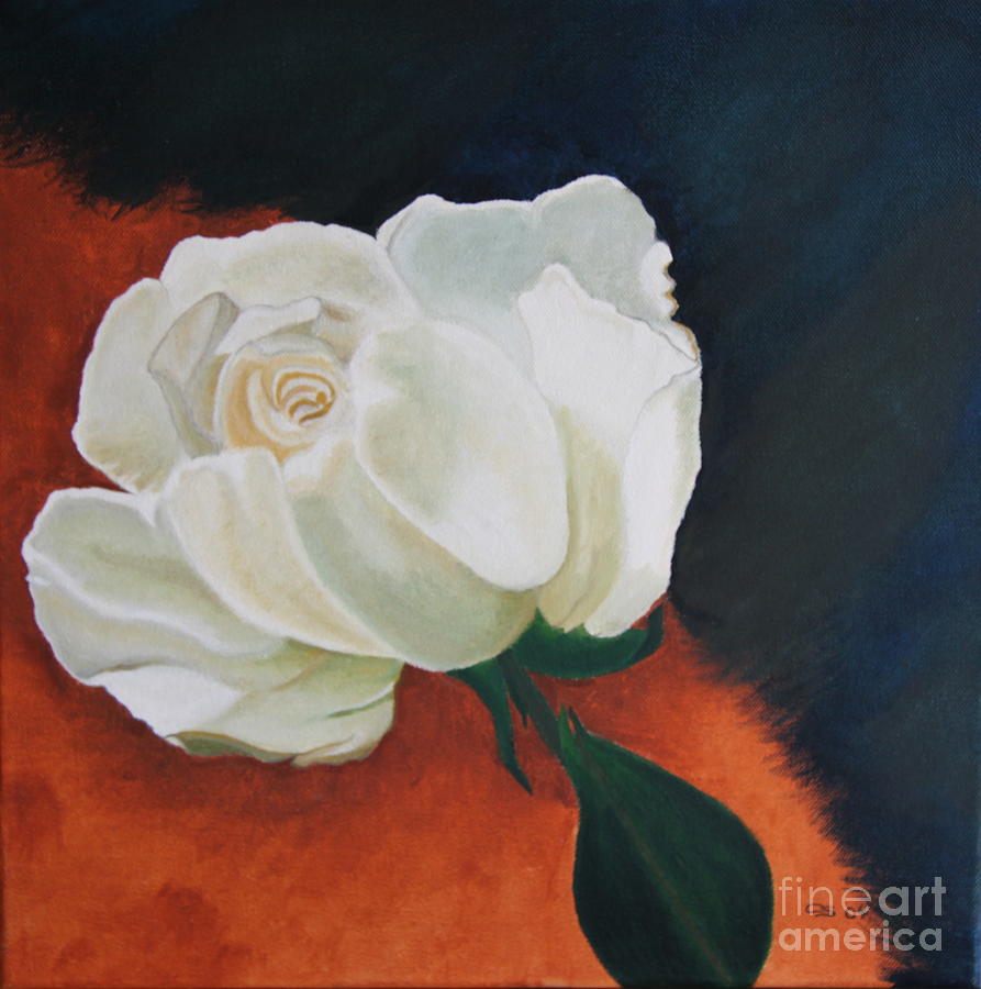 Rose Painting - White Rose #2 by Christiane Schulze Art And Photography