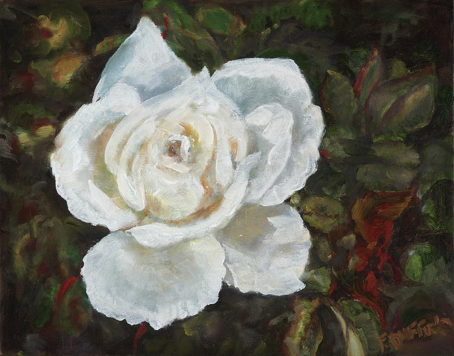 White Rose Painting by Florine Duffield