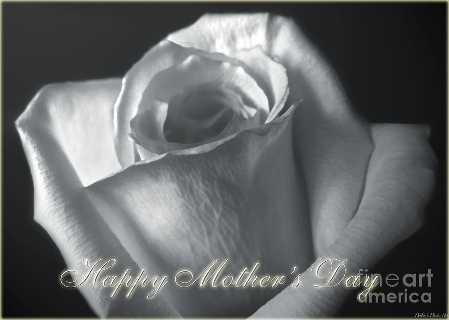 White Rose Greeting card  Mothers Day Photograph by Debbie Portwood