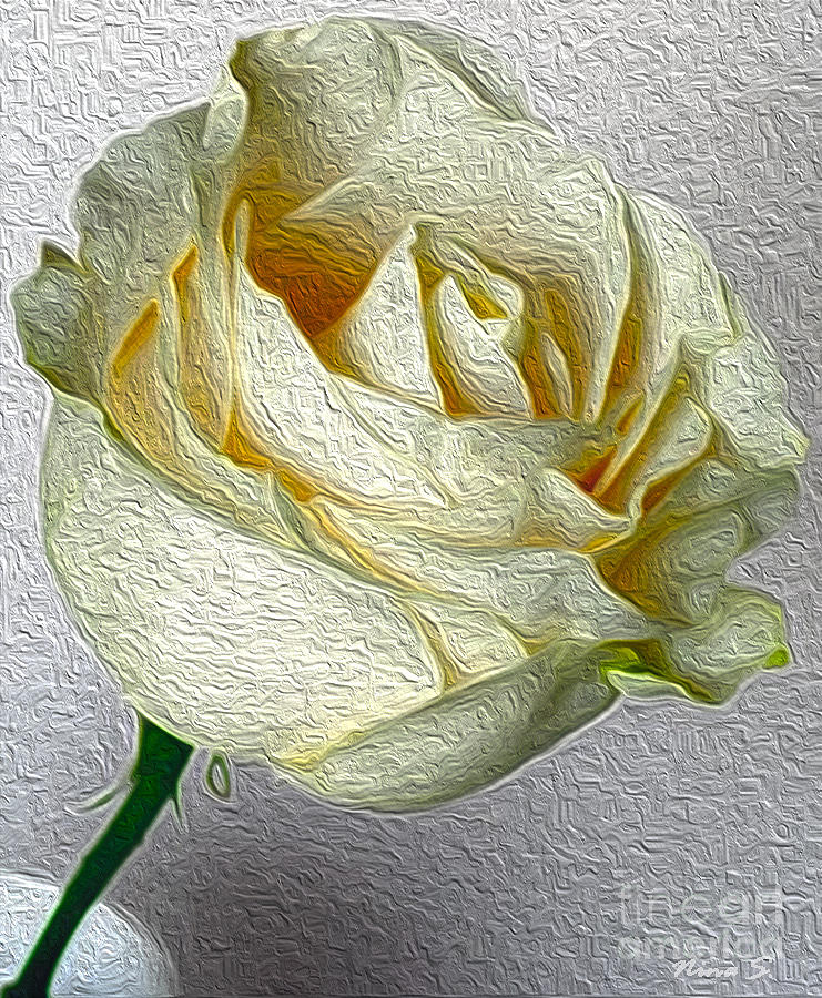 White Rose in Oil Effect Photograph by Nina Silver