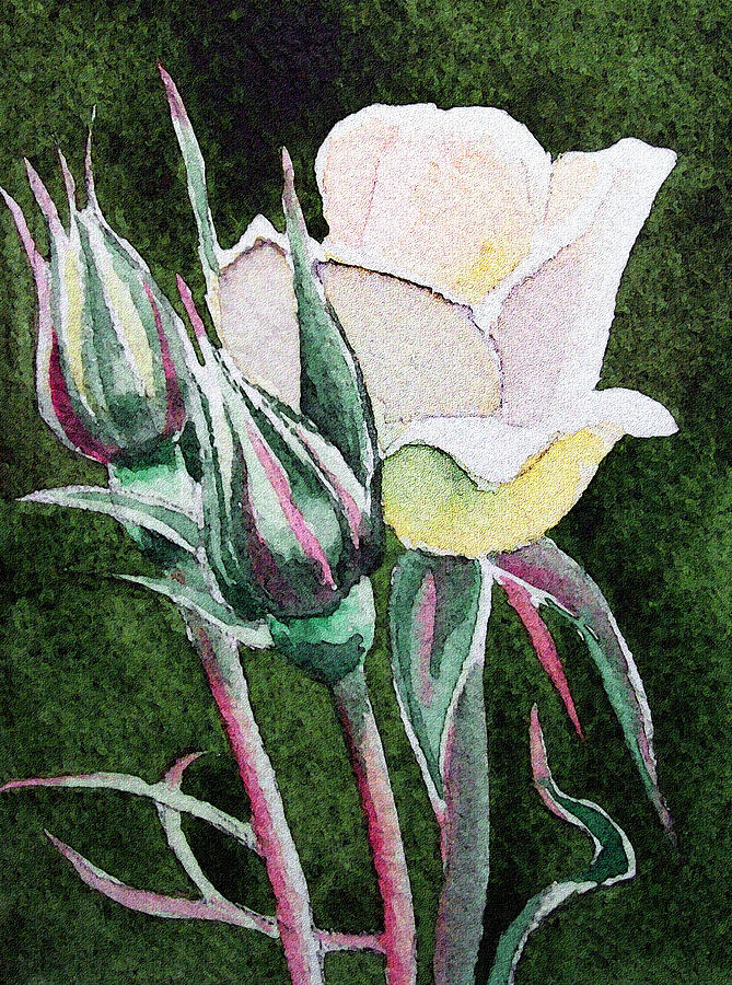 White Rose Painting by Irina Sztukowski