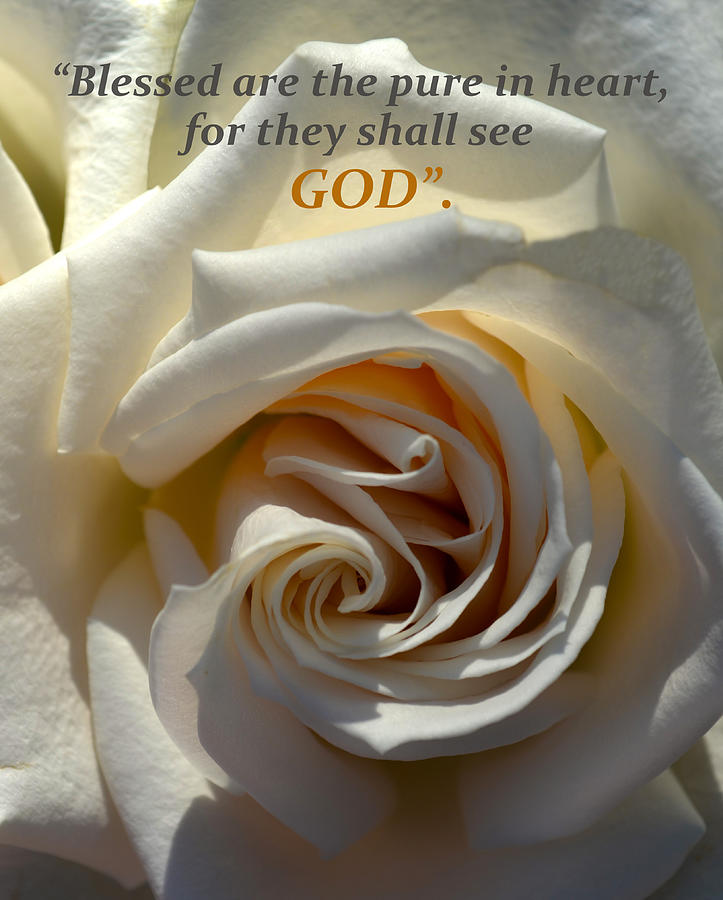 White Rose Macro and Scripture Photograph by Sandi OReilly