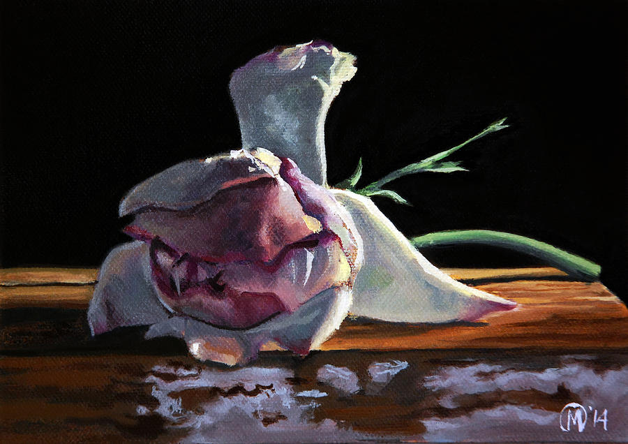 Rose Painting - White Rose by Maurice Morgan II