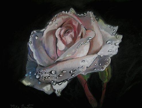 White Rose Pastel by Mike Benton