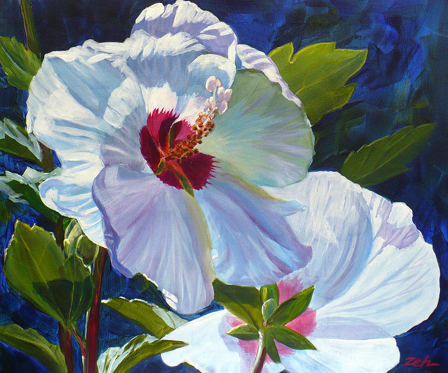 White Hibiscus Painting by Janet Zeh
