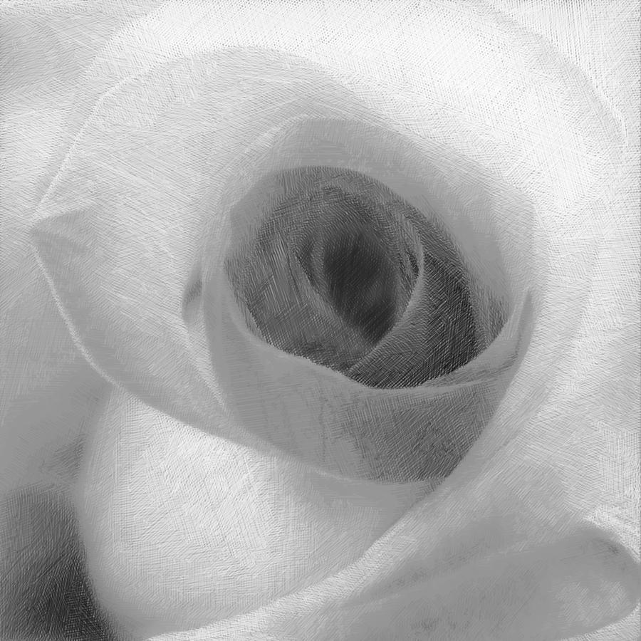 White Rose Painting by Tony Rubino