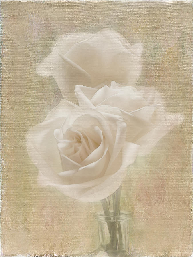 White Rose Trio Photograph by Linda Szabo