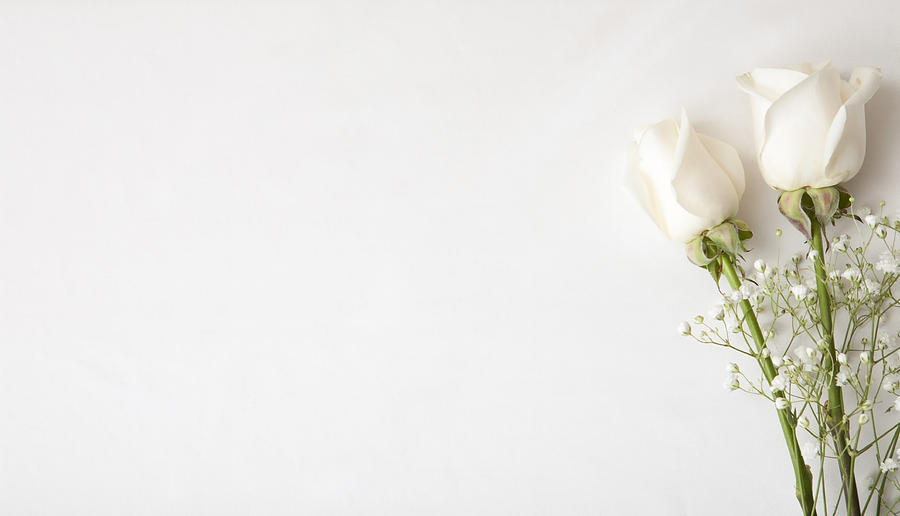 Rose Photograph - White Rose Wedding Invitation by Samuel Kessler
