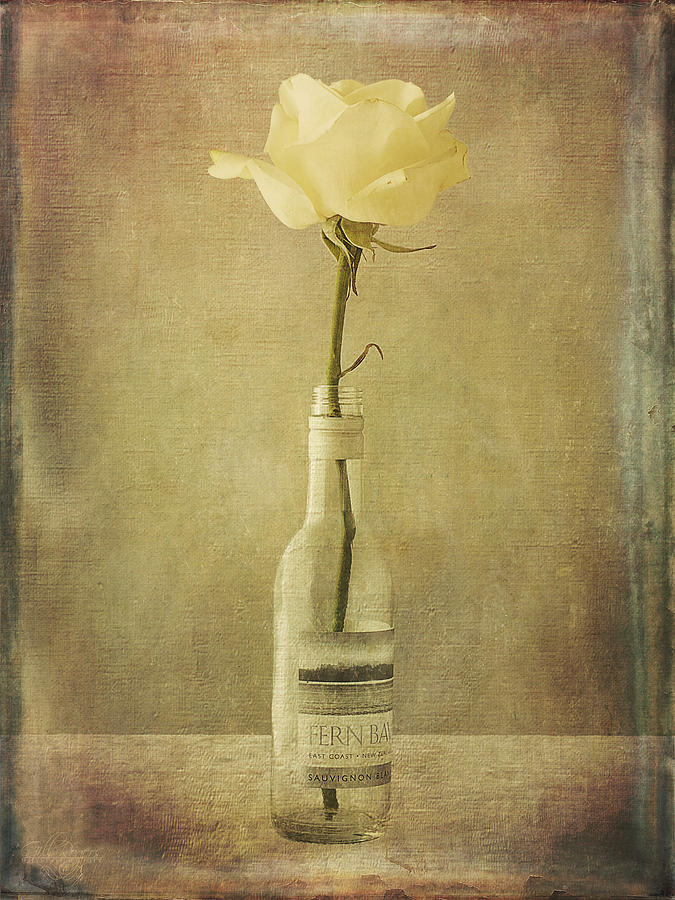 White Rose Wine Digital Art by Gill Rogers - Fine Art America