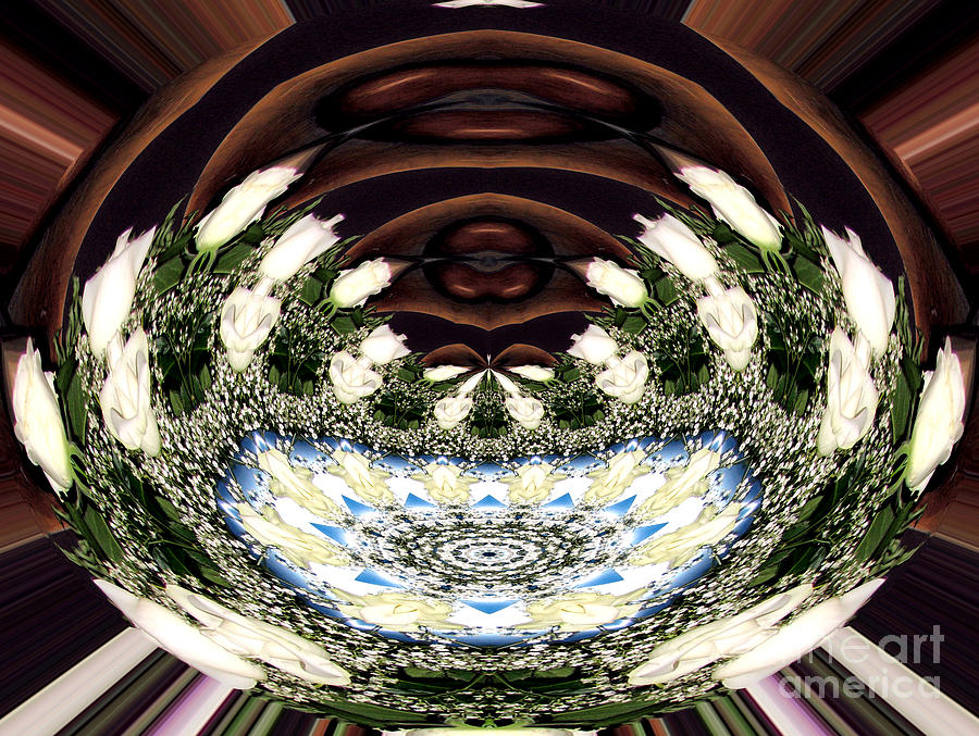 White Roses And Babys Breath Polar Coordinates Effect Photograph