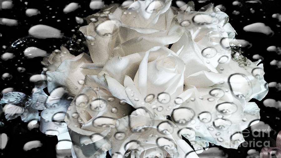White Roses Digital Art by Michelle Frizzell-Thompson