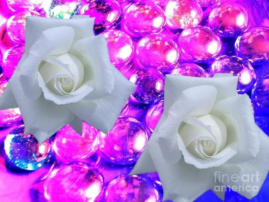 White Roses on Glass Pebbles Photograph by Joan-Violet Stretch