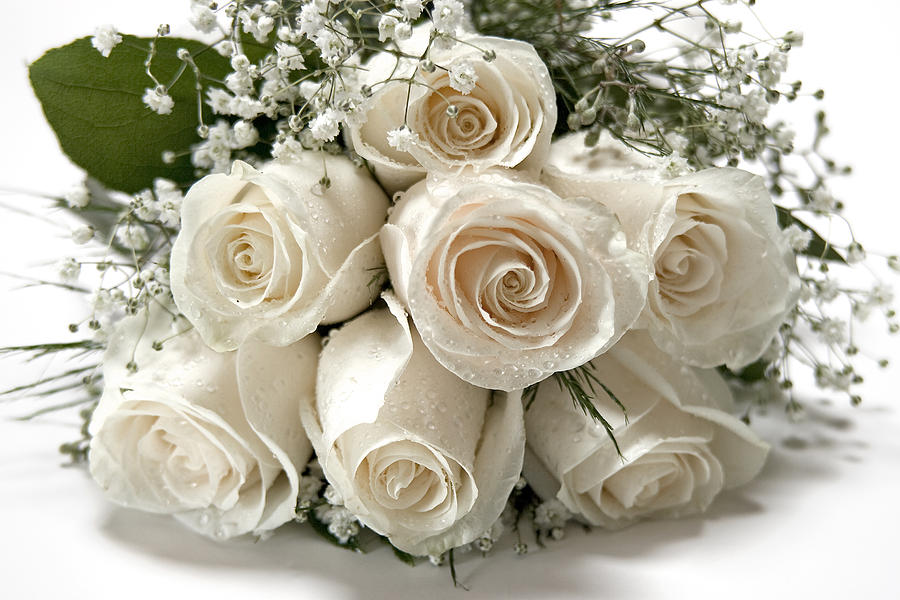 White Roses Photograph by Susan Candelario
