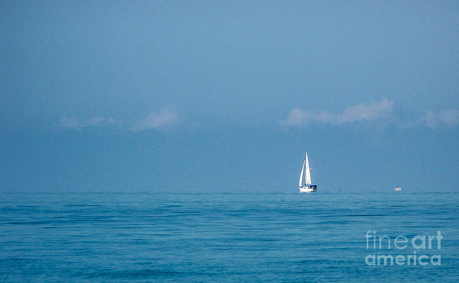 Florida Photograph - White Sails by Kathy Liebrum Bailey