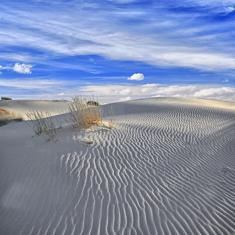 White Sand and Blue Sky Photograph by Wendell Thompson