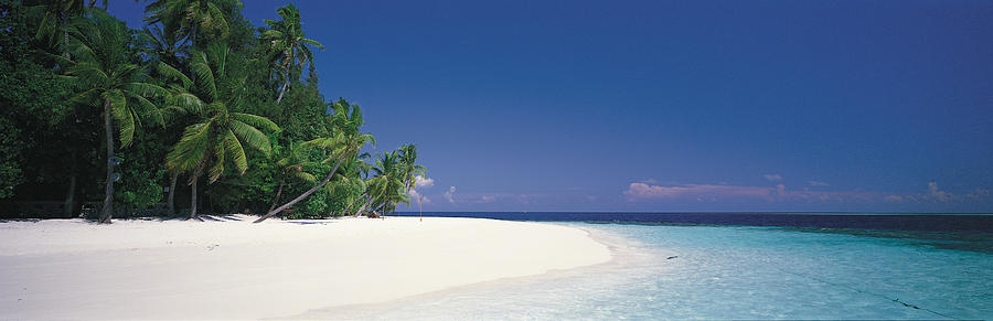 White Sand Beach Maldives Photograph by Panoramic Images