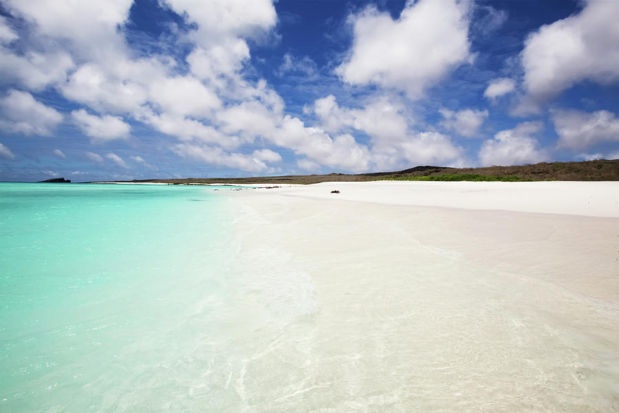 White Sand Beach With Crystal Clear Photograph by Chris Caldicott