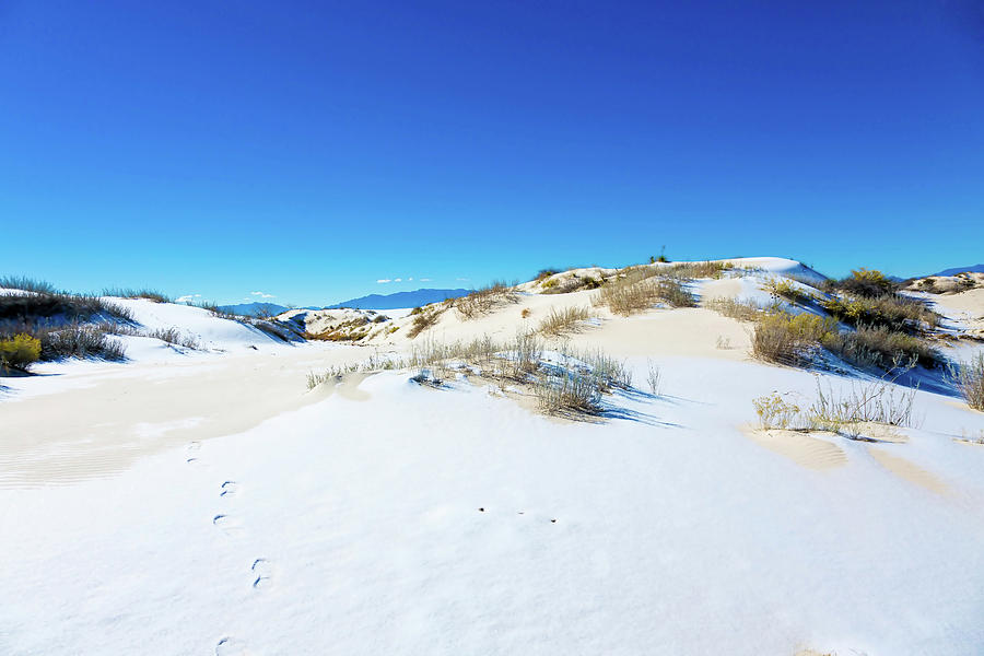 White Sand Dunes Photograph by Wladimir Bulgar