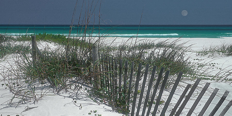 White Sand and Turquoise Water Photograph by Phil Jensen