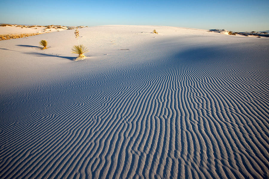 White Sand Ripples Photograph by Susan Degginger - Pixels