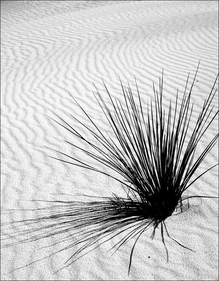 White Sands 07 Photograph by JustJeffAz Photography