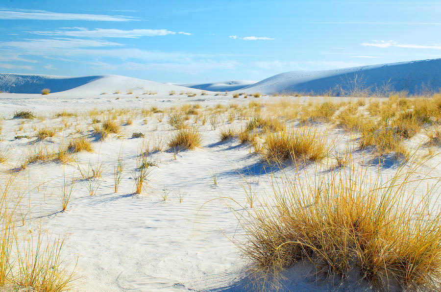 White Sands 1 Photograph by Treadwell Images - Fine Art America